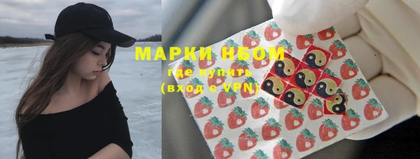 мдпв Заводоуковск