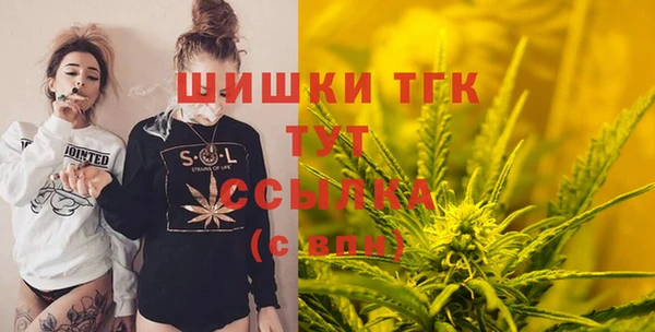 мдпв Заводоуковск