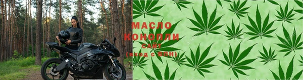 мдпв Заводоуковск