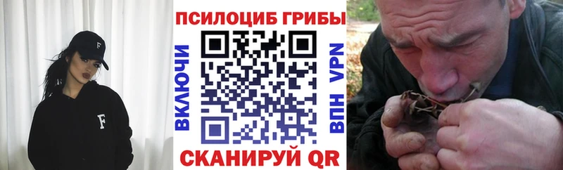 Купить закладки  Искитим  Псилоцибиновые грибы мухоморы 