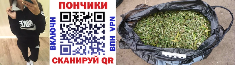 Конопля SATIVA & INDICA Купить закладки Искитим